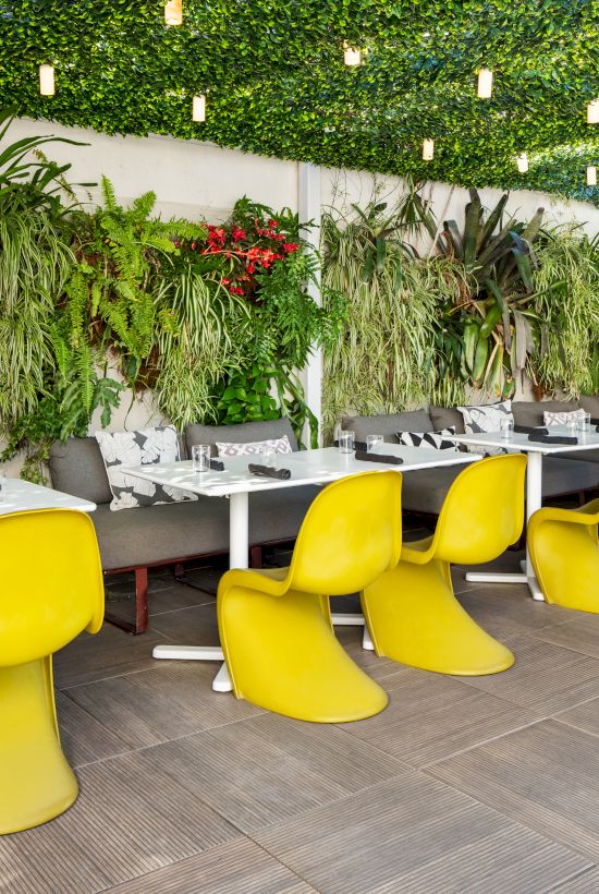 A bright, modern outdoor dining area with yellow curved chairs, long white tables, lush green plants on the wall, and hanging lights.