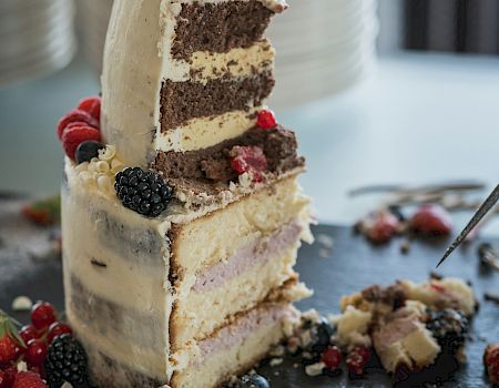 A tall layered cake with vanilla frosting, berry topping, and crumbs scattered nearby on a dark surface, with plates in the background.